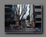[Haga click para agrandar]
